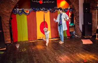 DQ8A8268