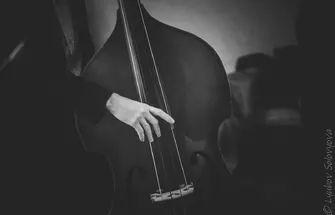 NIK_10082