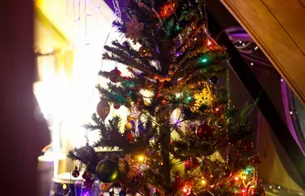 Photo-166